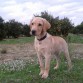 Bruno ya tiene 4 meses..¡¡¡¡¡¡